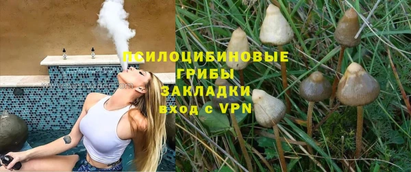 твердый Армянск