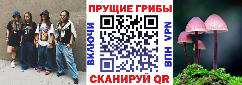 мориарти официальный сайт  Советский  Псилоцибиновые грибы MAGIC MUSHROOMS 